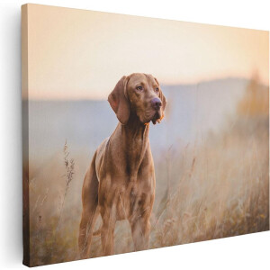 Artaza Canvas Schilderij Hongaarse Vizsla Hond In Het Gras - 40x30 - Klein - Foto Op Canvas - Canvas Print