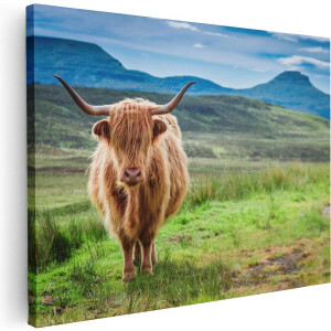Artaza Canvas Schilderij Schotse Hooglander In De Wei - Kleur - 80x60 - Foto Op Canvas - Canvas Print