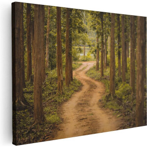 Artaza Canvas Schilderij Bos - 80x60 cm - Wanddecoratie Landschap - Muurdecoratie Bospad - Schilderijen Op Canvas Natuur