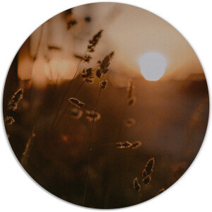 Label2X - Muurcirkel mystic gold - Ø 100 cm - Forex - Multicolor - Wandcirkel - Rond Schilderij - Muurdecoratie Cirkel - Wandecoratie rond - Decoratie voor woonkamer of slaapkamer