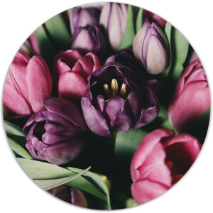 Label2X - Muurcirkel - Tulpen - Ø 20 cm - Forex - Multicolor - Wandcirkel - Rond Schilderij - Bloemen en Planten - Muurdecoratie Cirkel - Wandecoratie rond - Decoratie voor woonkamer of slaapkamer