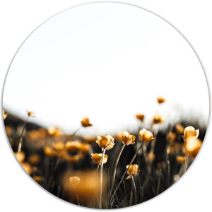 Label2X - Muurcirkel mini yellow flowers - Ø 100 cm - Dibond - Multicolor - Wandcirkel - Rond Schilderij - Muurdecoratie Cirkel - Wandecoratie rond - Decoratie voor woonkamer of slaapkamer