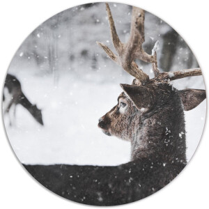 Label2X - Muurcirkel winterhert - Ø 120 cm - Forex - Multicolor - Wandcirkel - Rond Schilderij - Muurdecoratie Cirkel - Wandecoratie rond - Decoratie voor woonkamer of slaapkamer