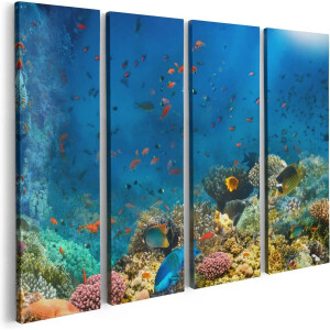 Artaza Canvas Schilderij Vierluik Onderwater Vissen Met Koraal In De Zee - 80x60 - Foto Op Canvas - Canvas Print