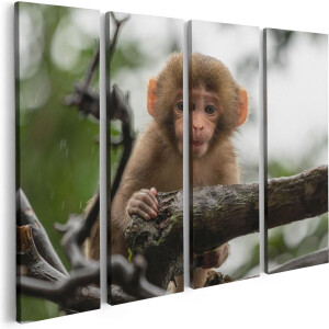 Artaza Canvas Schilderij Vierluik Klein Baby Aapje Op Een Tak - 80x60 - Foto Op Canvas - Canvas Print
