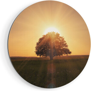 Artaza Dibond Muurcirkel Zonsondergang Achter Een Grote Boom - Ø 60 cm - Wandcirkel - Rond Schilderij - Voor Binnen en Buiten