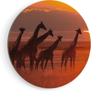 Artaza Dibond Muurcirkel - Giraffe Kudde Bij Zonsondergang - Ø 90 cm - Groot - Wandcirkel - Rond Schilderij - Voor Binnen en Buiten