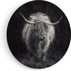 Artaza Forex Muurcirkel Schotse Hooglander Koe - Zwart Wit - 90x90 cm - Groot - Wandcirkel - Rond Schilderij - Muurdecoratie Cirkel