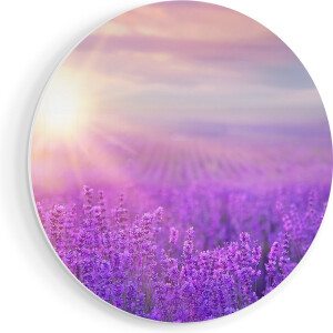 Artaza Forex Muurcirkel Bloemenveld Met Paarse Lavendel - 50x50 cm - Klein - Wandcirkel - Rond Schilderij - Muurdecoratie Cirkel