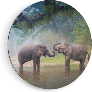 Artaza Dibond Muurcirkel Twee Olifanten In Het Water - Ø 80 cm - Groot - Wandcirkel - Rond Schilderij - Voor Binnen en Buiten