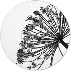 Label2X - Muurcirkel - Blew - Ø 60 cm - Forex - Multicolor - Wandcirkel - Rond Schilderij - Bloemen en Planten - Muurdecoratie Cirkel - Wandecoratie rond - Decoratie voor woonkamer of slaapkamer