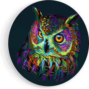 Artaza Forex Muurcirkel Kleurrijke Uil - Abstract - 40x40 cm - Klein - Wandcirkel - Rond Schilderij - Wanddecoratie Cirkel