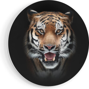 Artaza Forex Muurcirkel Tijgerkop - Tijger - 90x90 cm - Groot - Wandcirkel - Rond Schilderij - Muurdecoratie Cirkel