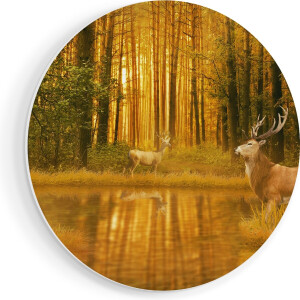Artaza Forex Muurcirkel Twee Herten In Het Bos Bij Het Water - 40x40 cm - Klein - Wandcirkel - Rond Schilderij - Wanddecoratie Cirkel