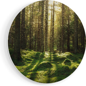 Artaza Forex Muurcirkel Bos met Groen Mos op de Grond - 90x90 cm - Groot - Wandcirkel - Rond Schilderij - Muurdecoratie Cirkel