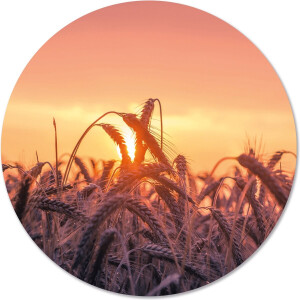 Label2X - Muurcirkel sunset - Ø 20 cm - Dibond - Multicolor - Wandcirkel - Rond Schilderij - Muurdecoratie Cirkel - Wandecoratie rond - Decoratie voor woonkamer of slaapkamer