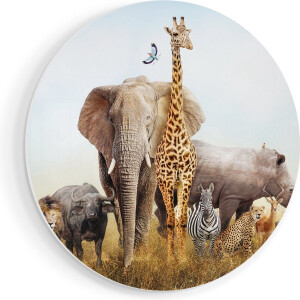 Artaza Forex Muurcirkel Afrikaanse Dieren op het Gras - Afrika - 50x50 cm - Klein - Wandcirkel - Rond Schilderij - Muurdecoratie Cirkel