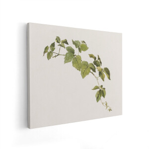 Artaza Canvas Schilderij Rozenbottel Tak - 100x80 cm - Wanddecoratie Botanisch - Muurdecoratie Vintage - Decoratie Groene Bladeren