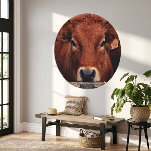 Label2X - Muurcirkel brown cow - Ø 140 cm - Dibond - Multicolor - Wandcirkel - Rond Schilderij - Muurdecoratie Cirkel - Wandecoratie rond - Decoratie voor woonkamer of slaapkamer