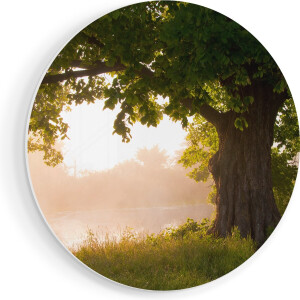 Artaza Forex Muurcirkel Eikenboom Aan Het Water Met Volle Bladeren - 80x80 cm - Groot - Wandcirkel - Rond Schilderij - Wanddecoratie Cirkel