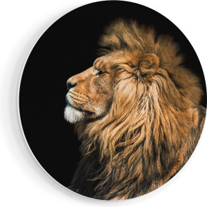 Artaza Forex Muurcirkel Leeuw - 80x80 cm - Groot - Wandcirkel - Rond Schilderij - Wanddecoratie Cirkel