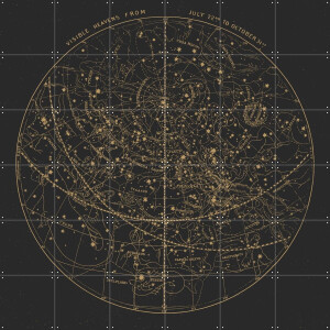 IXXI Visible Heavens Dark, Aster Edition - 120 x 120 cm - Gratis ophangtool - Grote wanddecoratie en posters - Technische Tekening, Illustraties