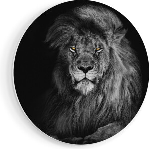 Artaza Forex Muurcirkel Leeuw Met Oranje Ogen - Zwart Wit - 80x80 cm - Groot - Wandcirkel - Rond Schilderij - Wanddecoratie Cirkel