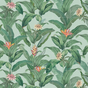 IXXI Tropical Jungle Climbing Leaves and passiflora flowers - mint, Bloomery Decor - 100 x 100 cm - Gratis ophangtool - Grote wanddecoratie en posters