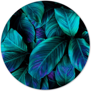 Label2X - Muurcirkel green purple plant - Ø 100 cm - Dibond - Multicolor - Wandcirkel - Rond Schilderij - Muurdecoratie Cirkel - Wandecoratie rond - Decoratie voor woonkamer of slaapkamer