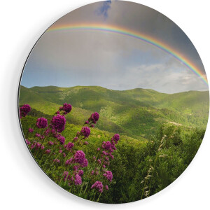 Artaza Dibond Muurcirkel Regenboog in de Heuvel Bossen - Ø 70 cm - Wandcirkel - Rond Schilderij - Voor Binnen en Buiten