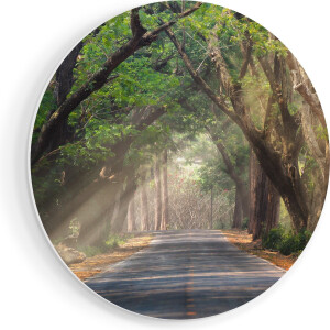 Artaza Forex Muurcirkel Weg Omringd Met Bomen - 40x40 cm - Klein - Wandcirkel - Rond Schilderij - Wanddecoratie Cirkel