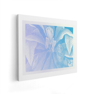 Artaza Canvas Schilderij Magnolia Bloem - 50x40 cm - Wanddecoratie Bloemen - Muurdecoratie Vintage Botanisch - Decoratie Woonkamer - Blauw