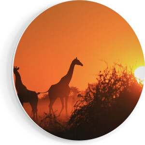 Artaza Forex Muurcirkel Drie Giraffe Silhouetten Bij Zonsondergang - 90x90 cm - Groot - Wandcirkel - Rond Schilderij - Muurdecoratie Cirkel