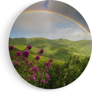 Artaza Forex Muurcirkel Regenboog in de Heuvel Bossen - 50x50 cm - Klein - Wandcirkel - Rond Schilderij - Muurdecoratie Cirkel