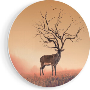 Artaza Forex Muurcirkel Hert Met Een Bomen Gewei - 50x50 cm - Klein - Wandcirkel - Rond Schilderij - Muurdecoratie Cirkel
