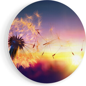 Artaza Forex Muurcirkel Paardenbloem Tijdens Zonsondergang - 90x90 cm - Groot - Wandcirkel - Rond Schilderij - Muurdecoratie Cirkel