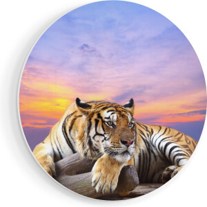 Artaza Forex Muurcirkel Tijger Tijdens Zonsondergang - 90x90 cm - Groot - Wandcirkel - Rond Schilderij - Muurdecoratie Cirkel