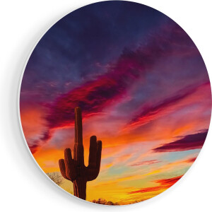 Artaza Forex Muurcirkel Cactus bij Oranje Zonsondergang - 70x70 cm - Wandcirkel - Rond Schilderij - Wanddecoratie Cirkel - Muurdecoratie
