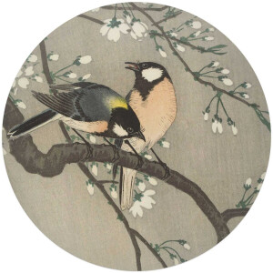 Glasschilderij Ohara Koson - Koolmezen op bloesemtak - Ø 70 - Glas - REINDERS