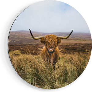 Artaza Dibond Muurcirkel Groen Bos Met Zonlicht  - Ø 80 cm - Groot - Wandcirkel - Rond Schilderij - Voor Binnen en Buiten