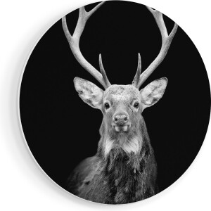 Artaza Forex Muurcirkel Hertenkop - Zwart Wit - 80x80 cm - Groot - Wandcirkel - Rond Schilderij - Wanddecoratie Cirkel