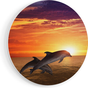 Artaza Forex Muurcirkel Twee Dolfijnen bij de Zonsondergang - 50x50 cm - Klein - Wandcirkel - Rond Schilderij - Muurdecoratie Cirkel