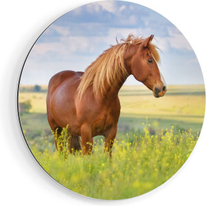 Artaza Dibond Muurcirkel Bruin Paard In De Wei - Ø 60 cm - Wandcirkel - Rond Schilderij - Voor Binnen en Buiten