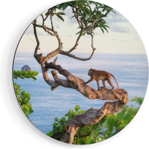 Artaza Dibond Muurcirkel - Aap Klimt In Een Boom Aan Het Water - Ø 90 cm - Groot - Wandcirkel - Rond Schilderij - Voor Binnen en Buiten