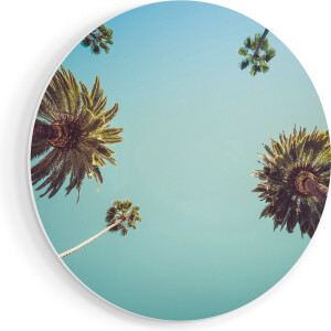 Artaza Forex Muurcirkel Palmbomen met Bladeren in de Lucht - 40x40 cm - Klein - Wandcirkel - Rond Schilderij - Wanddecoratie Cirkel