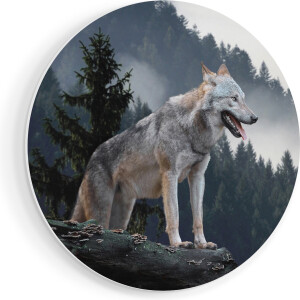 Artaza Forex Muurcirkel Grijze Wolf In De Bossen - 90x90 cm - Groot - Wandcirkel - Rond Schilderij - Muurdecoratie Cirkel