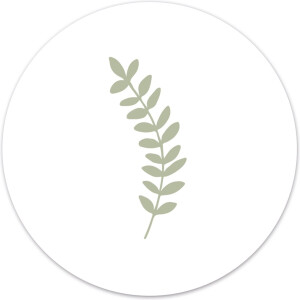 Label2X - Muurcirkel - Blaadje Groen - Ø 140 cm - Forex - Multicolor - Wandcirkel - Rond Schilderij - Bloemen en Planten - Muurdecoratie Cirkel - Wandecoratie rond - Decoratie voor woonkamer of slaapkamer