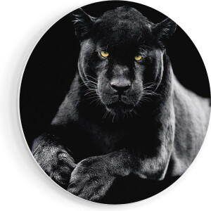 Artaza Forex Muurcirkel Zwarte Panter - 50x50 cm - Klein - Wandcirkel - Rond Schilderij - Muurdecoratie Cirkel