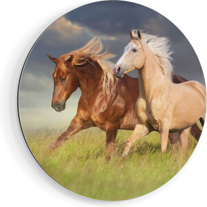 Artaza Dibond Muurcirkel Bruin En Wit Paard In De Wei - Ø 70 cm - Wandcirkel - Rond Schilderij - Voor Binnen en Buiten