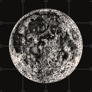 IXXI Moon Big Vintage, Aster Edition - 80 x 80 cm - Gratis ophangtool - Grote wanddecoratie en posters - Illustraties, Houtsnede, Vintage, Woonkamer